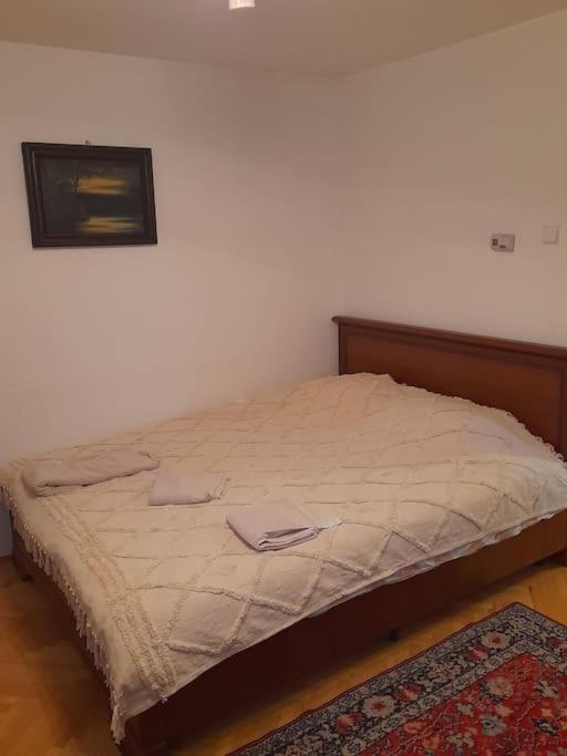 Emese Central Vintage Apartment Târgu-Mureş エクステリア 写真