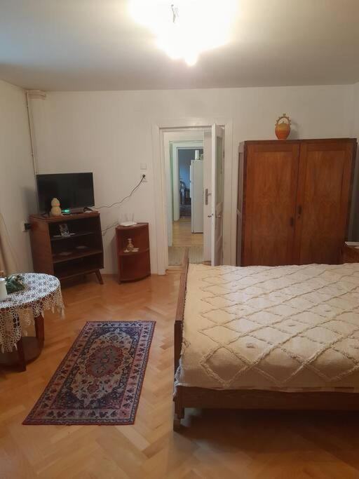 Emese Central Vintage Apartment Târgu-Mureş エクステリア 写真