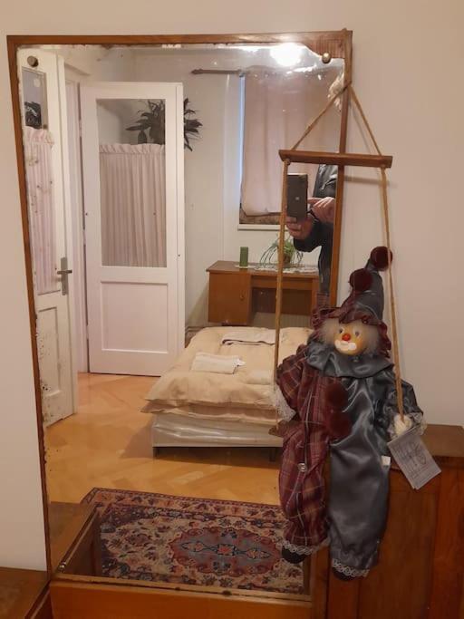 Emese Central Vintage Apartment Târgu-Mureş エクステリア 写真