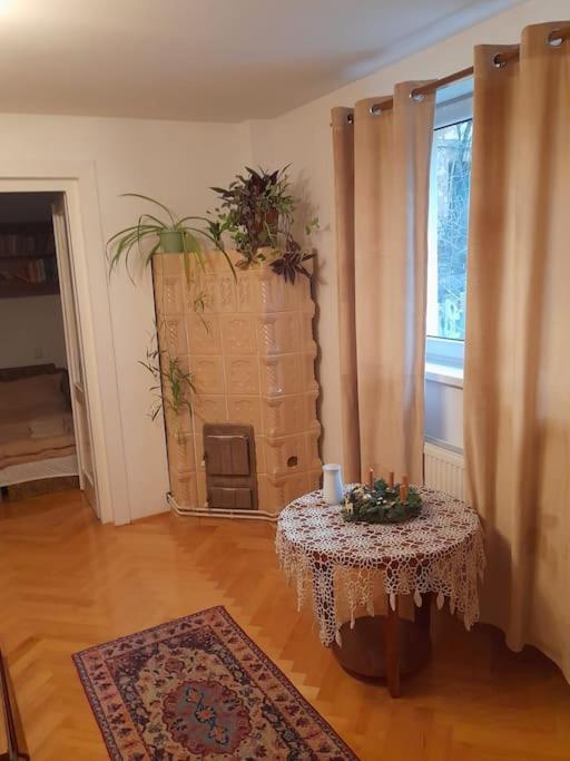 Emese Central Vintage Apartment Târgu-Mureş エクステリア 写真