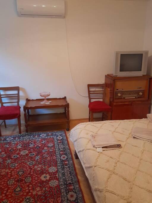 Emese Central Vintage Apartment Târgu-Mureş エクステリア 写真
