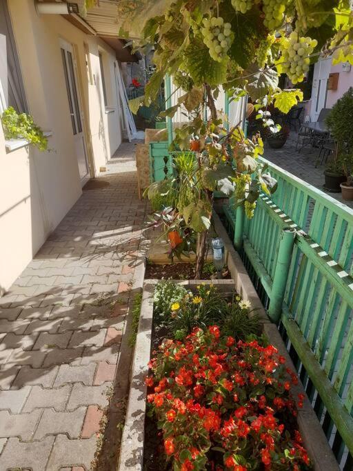 Emese Central Vintage Apartment Târgu-Mureş エクステリア 写真