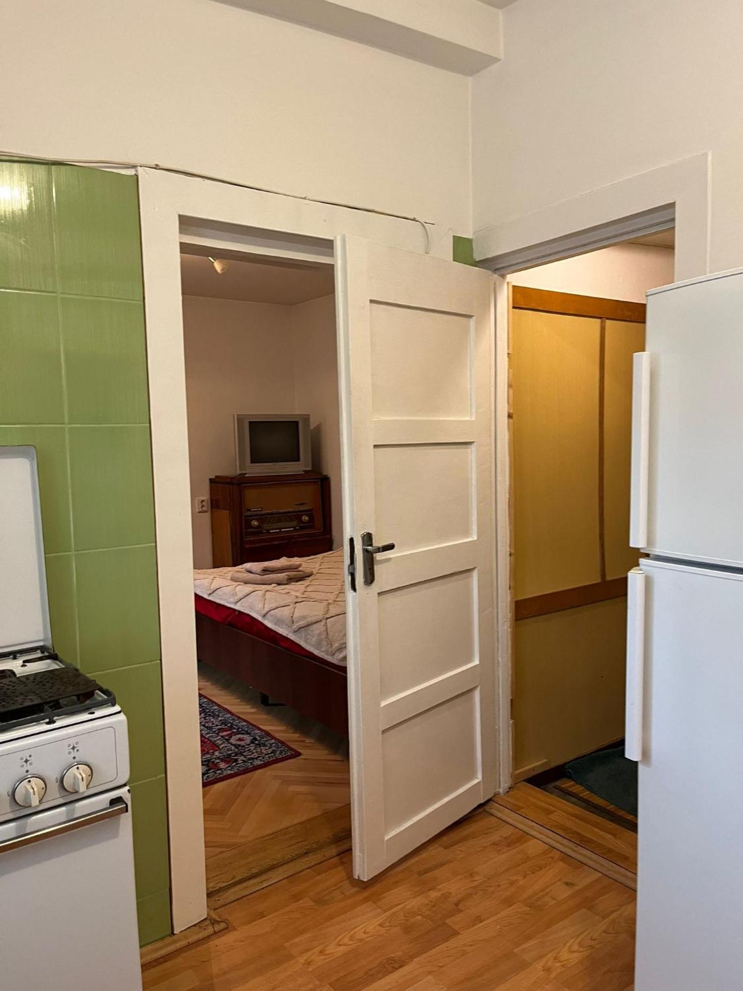 Emese Central Vintage Apartment Târgu-Mureş エクステリア 写真
