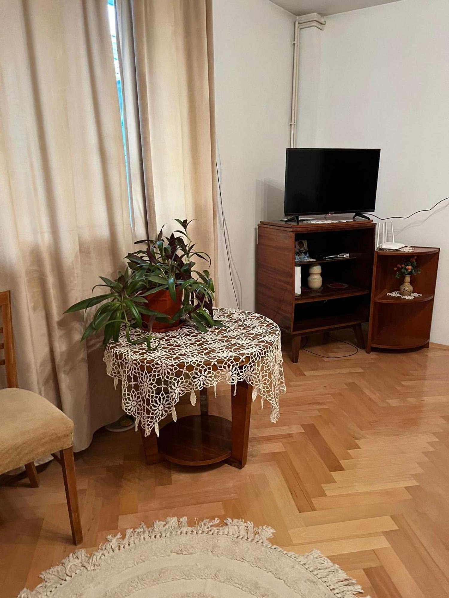 Emese Central Vintage Apartment Târgu-Mureş エクステリア 写真