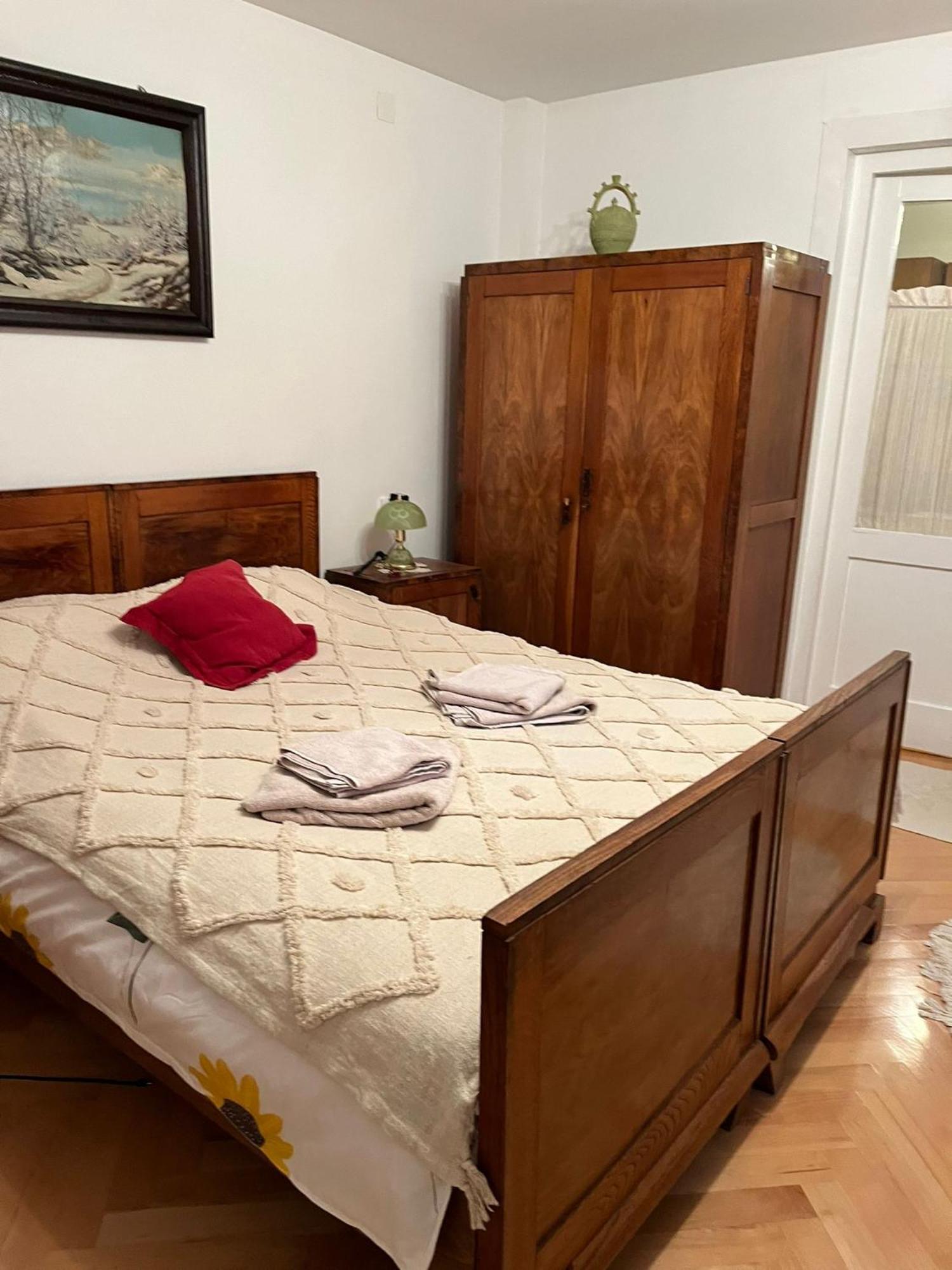 Emese Central Vintage Apartment Târgu-Mureş エクステリア 写真