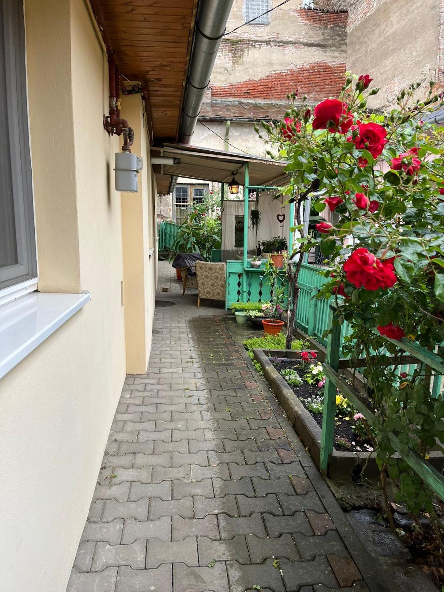 Emese Central Vintage Apartment Târgu-Mureş エクステリア 写真