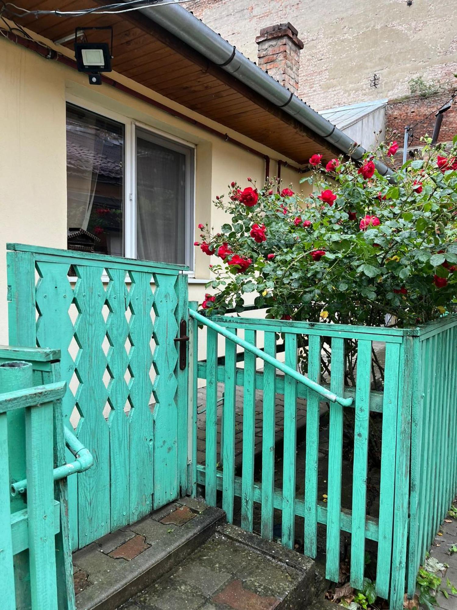 Emese Central Vintage Apartment Târgu-Mureş エクステリア 写真